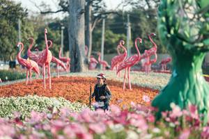 BIB: 
                            <button type="button" onclick="openModal(27344152)" class="btn btn-primary btn-sm float-right btn-popup" data-toggle="modal" data-target=".modal-high-quality">
                        <i class="fas fa-shopping-cart"></i> Add to Cart
                    </button>
                                            <button type="button" onclick="isThisMe(27344152, true)" class="btn btn-success btn-sm float-right btn-popup btn-isme hidden" data-toggle="tooltip" data-placement="bottom" title="นี่คือรูปของคุณใช่ไหม คลิกที่นี่เพื่อเอาเข้าอัลบั้ม">
                        <i class="fas fa-plus"></i> Add to album
                    </button>
                    <button type="button" onclick="isThisMe(27344152, false)" class="btn btn-warning btn-sm float-right btn-popup btn-isnotme hidden">
                        <i class="fas fa-ban"></i> Remove from album
                    </button>